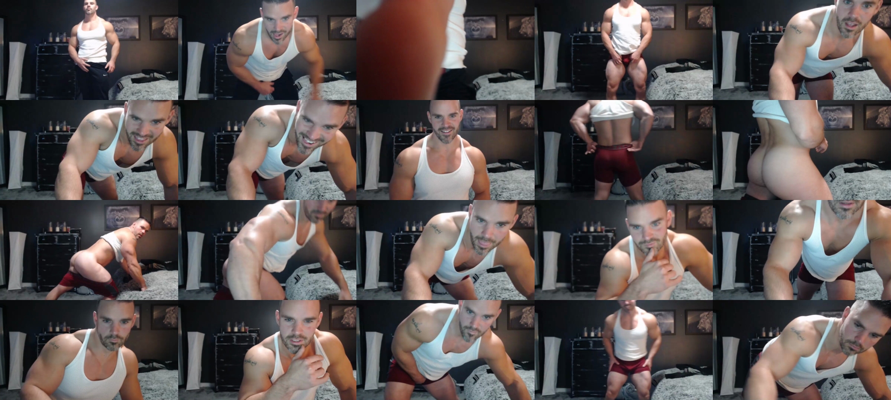 Alexiarain  13-11-2021